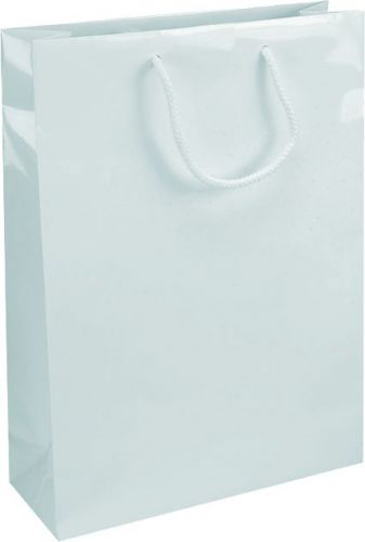 IVONE 24 Papírová taška s lesklou povrchovou úpravou,24x9x35cm