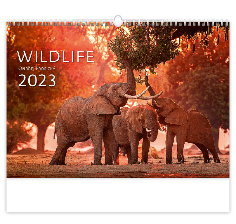 Kalendář Wildlife
