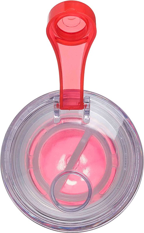LEDOR Transparentní láhev na pití 650 ml, s červeným  sítkem na ovoce